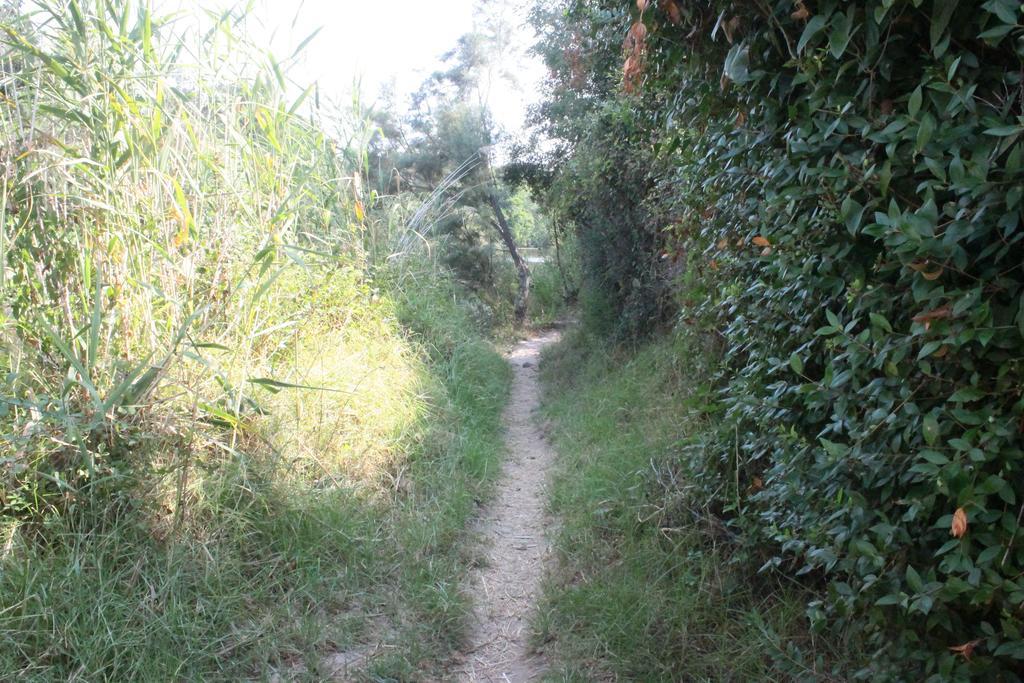 Lavu Santu * Sainte-Lucie de Porto-Vecchio